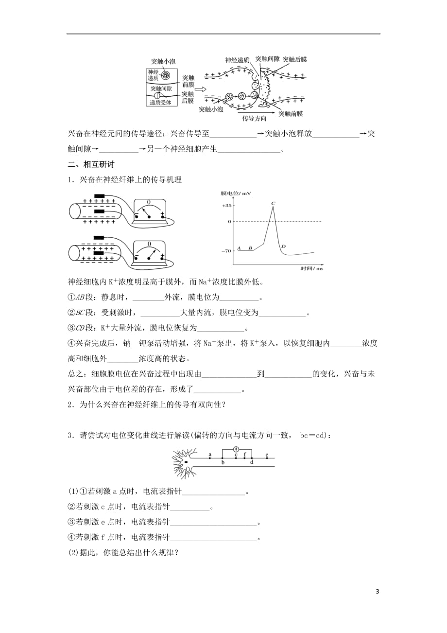 江苏省射阳县2018届高考生物一轮复习 活动单 人体生命活动的调节(一)苏教版_第3页