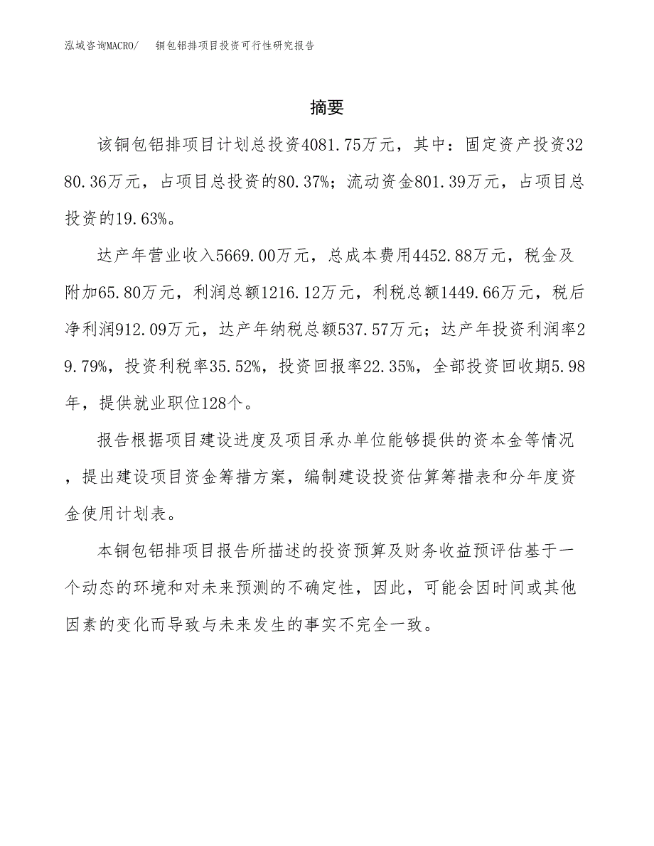 铜包铝排项目投资可行性研究报告.docx_第2页