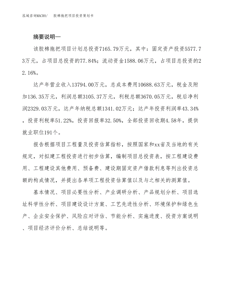 胶棉拖把项目投资策划书.docx_第2页