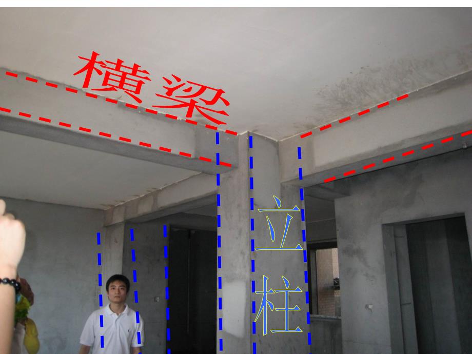 科学六年级上册第二单元《形状与结构》单元复习汇编_第3页