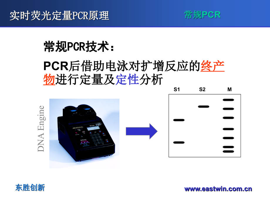 荧光定量PCR原理及应用(科研版)解读_第4页