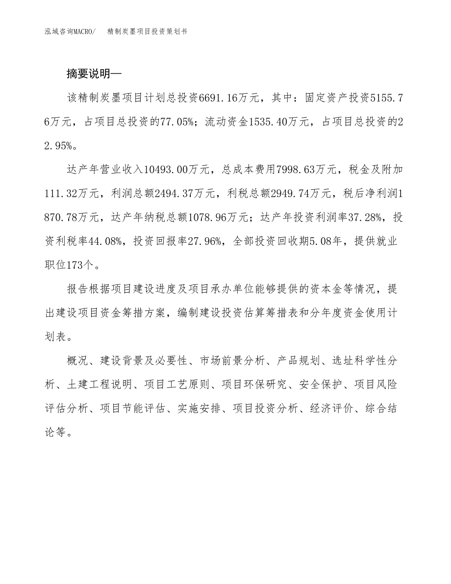 精制炭墨项目投资策划书.docx_第2页