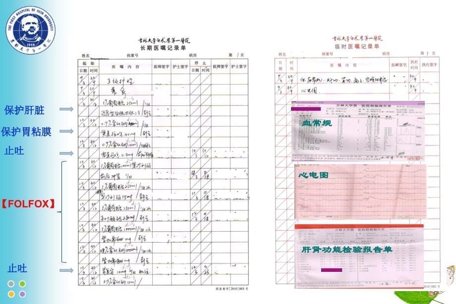 肿瘤化疗优化方案_第5页