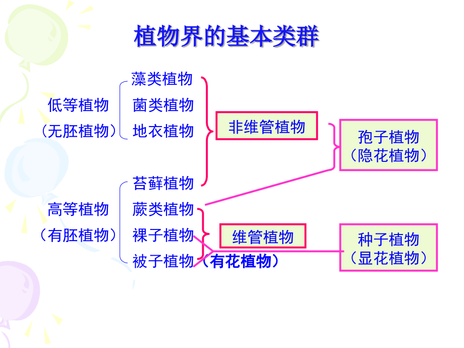 一树木的生长与木材的形成_第4页