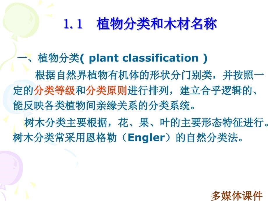 一树木的生长与木材的形成_第5页