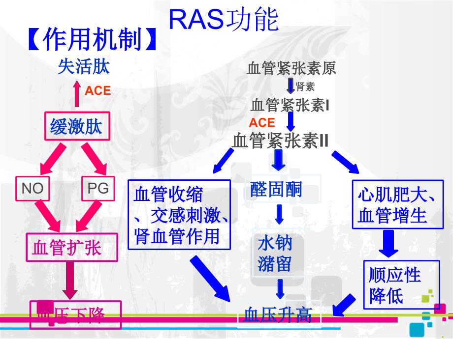 RAS系统抑制药_第2页