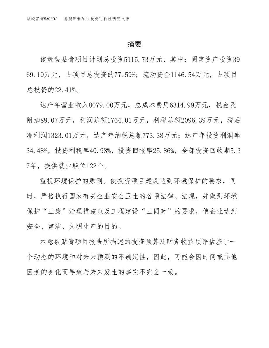 愈裂贴膏项目投资可行性研究报告.docx_第2页