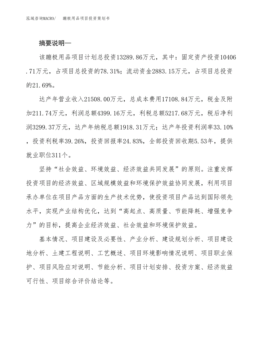 蹦极用品项目投资策划书.docx_第2页