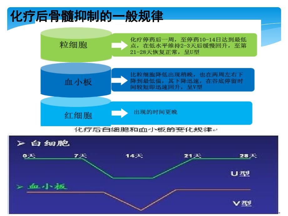 骨髓抑制管理教材_第4页