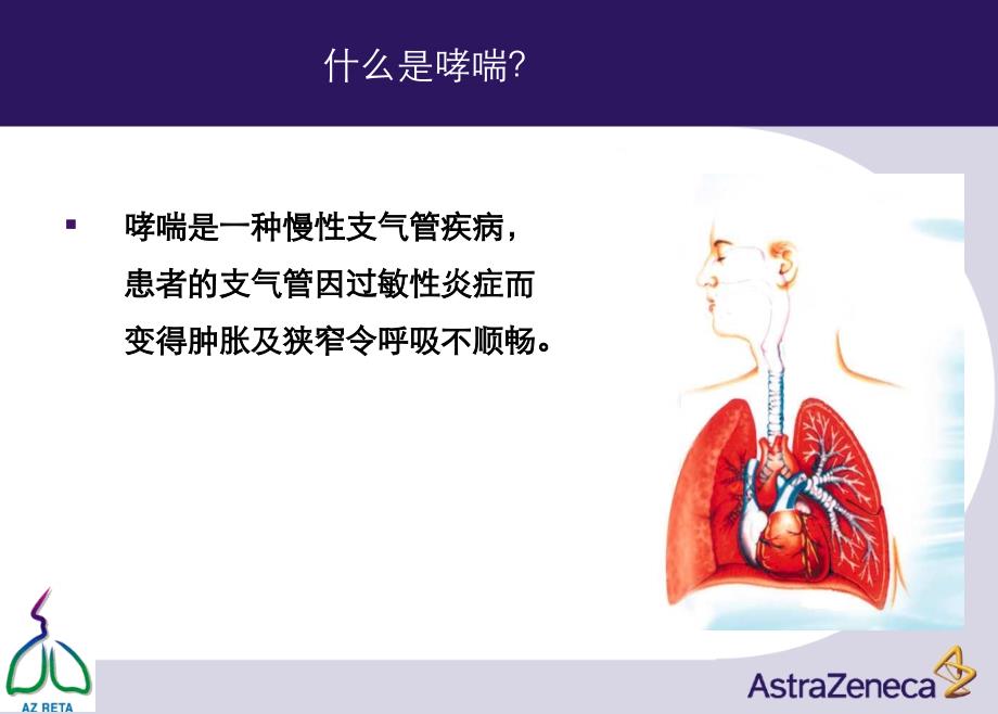 支气管哮喘哮喘健康宣传教育教材_第3页
