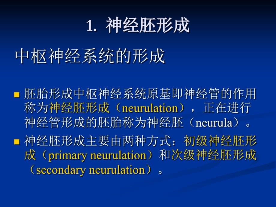 发育生物学第八章 神经胚和三胚层分化._第5页