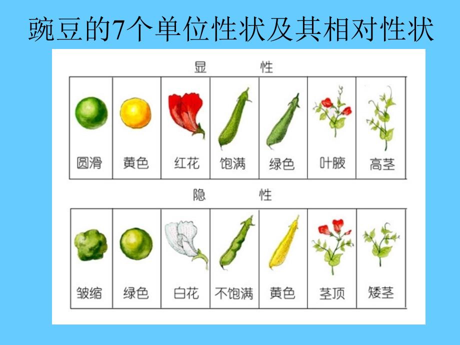 八数量性状的遗传_第3页