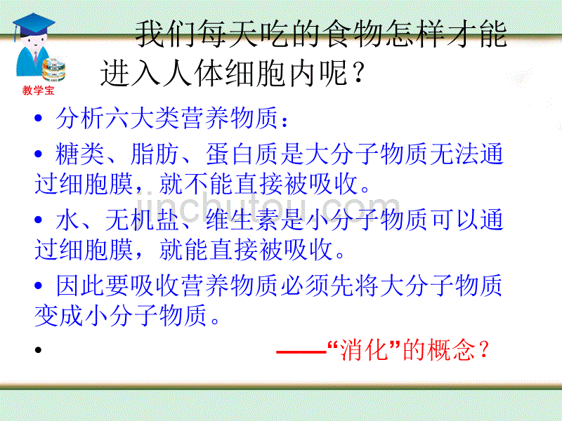 二人体的营养二消化与吸收_第5页