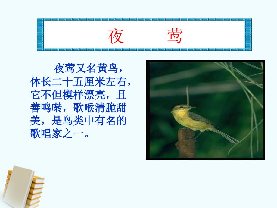 人教版四年级语文下册三单元课《夜莺的歌声》小组作品展示wang_第2页