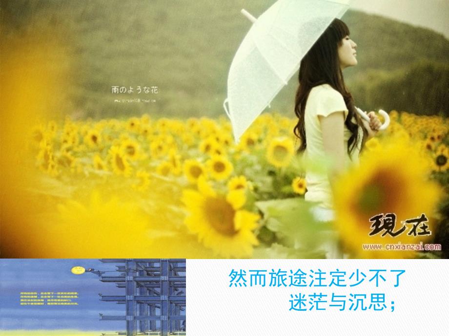 我最喜欢的一本书PPT_第4页