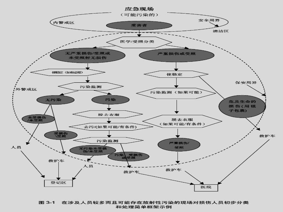 放射性污染的医学处理._第3页