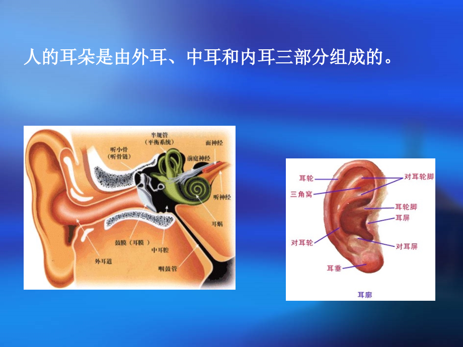 环保概论课件 第九章 声学环境保护._第4页