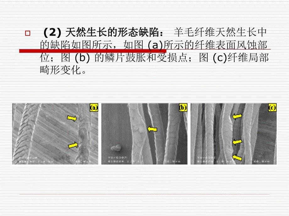 新型纤维材料-纤维性能基本知识讲解_第5页