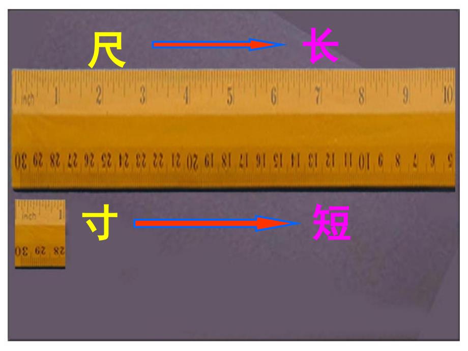 人教版语文上册《尺有所短寸有所长》_第1页