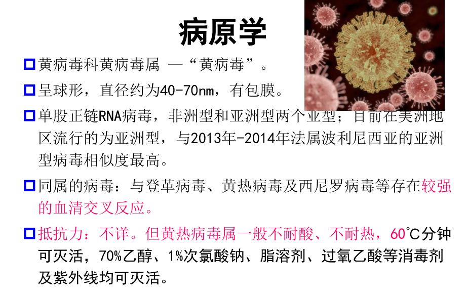 寨卡病毒病防控方案2016讲解_第4页