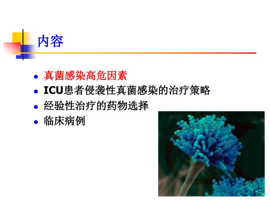 许卫江：ICU危重患者侵袭性真菌感染的高危因素与治疗讲解_第2页