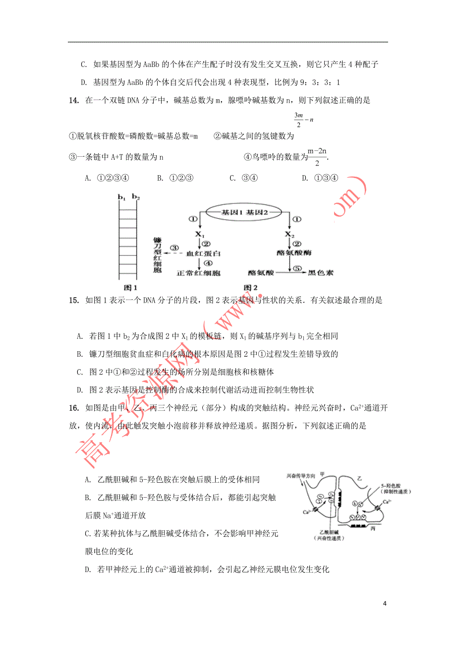 江苏省海安高级中学2019届高三生物12月月考试题_第4页