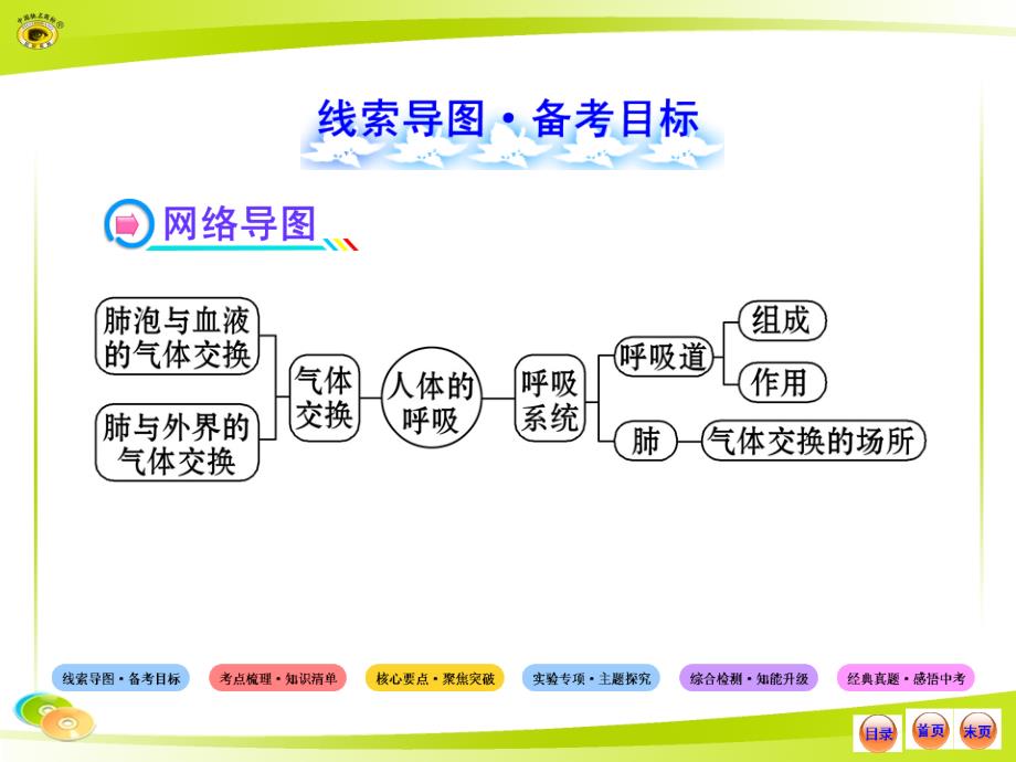 人教版七下初中生物中考复习四单元三人体的呼吸_第2页