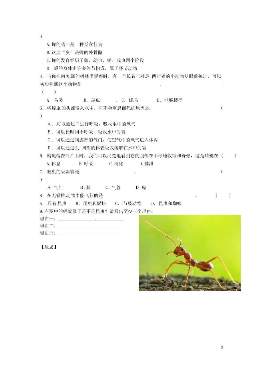 江苏省铜山区七年级生物下册 第12章 空中的生物学案2(无答案)（新版）苏科版_第2页