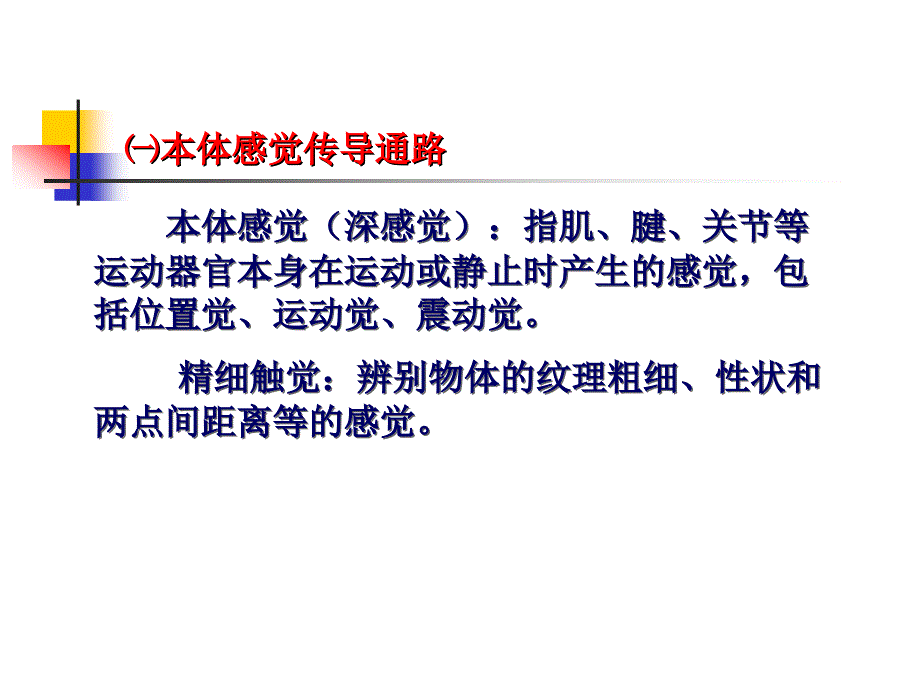 肢体的感觉传导通路讲义_第3页