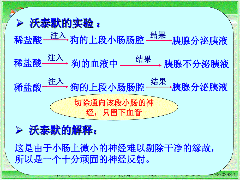 动物和人体生命活动通过激素的调_第3页