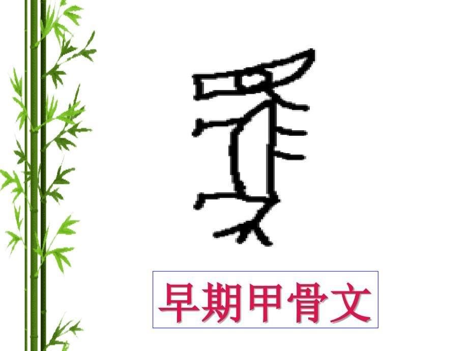 七年级下册综合实践马_第5页