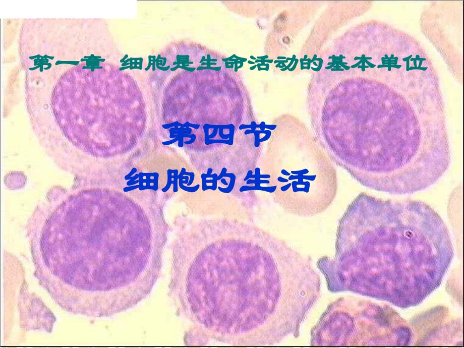 二单元一四细胞的生活_第3页