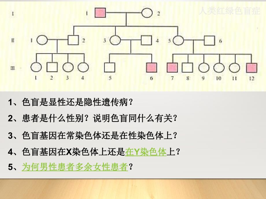 高中生物必修二第二章第三节伴性遗传汇编_第4页