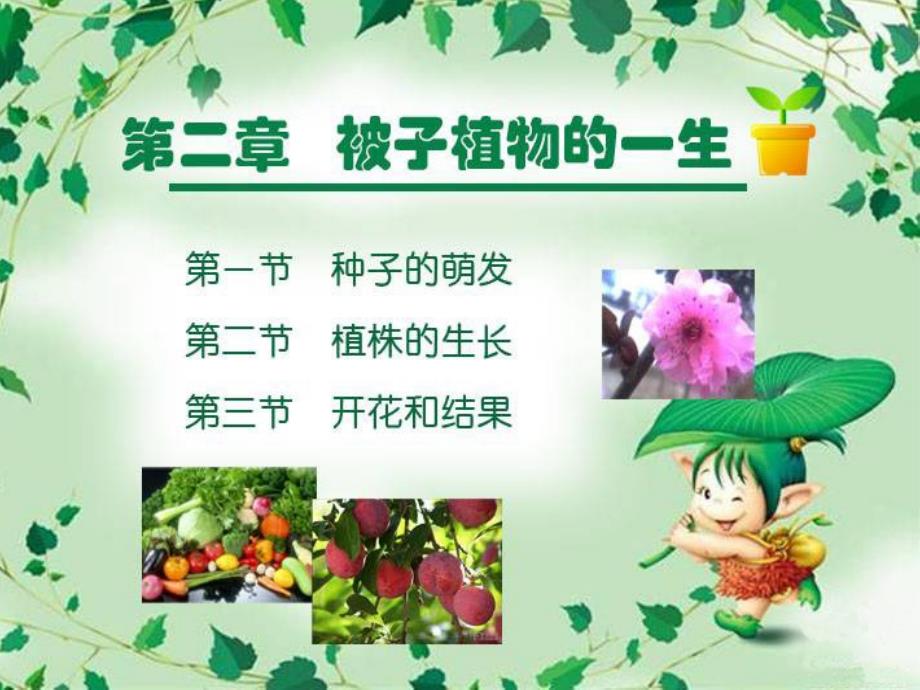 二被子植物的一生总复习_第1页