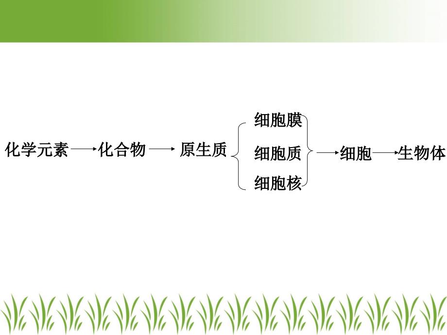 生物必修一细胞中的元素和化合物_第4页