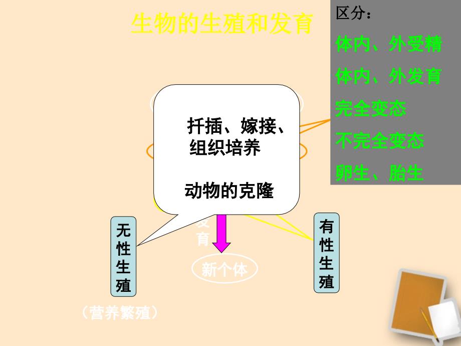 中考生物《遗传与变异》《传染病与免疫》专题复习人教新课标版_第3页