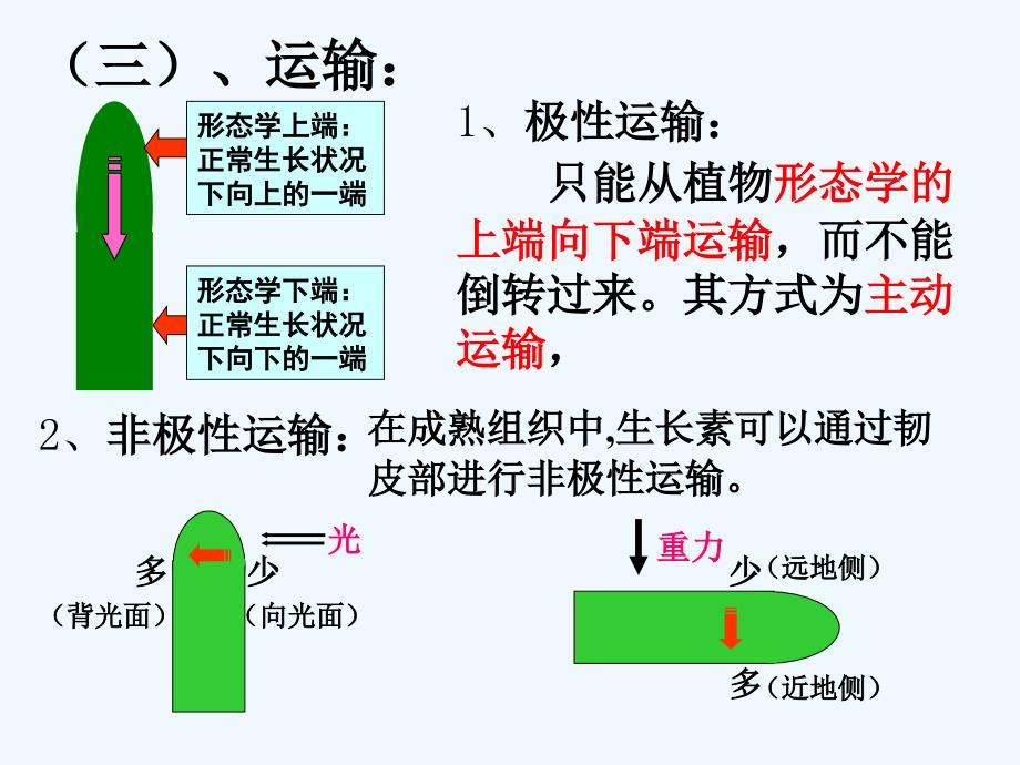 人教版教学吉林松原扶余县一中学高二生物《植物生长素的发现》_第4页