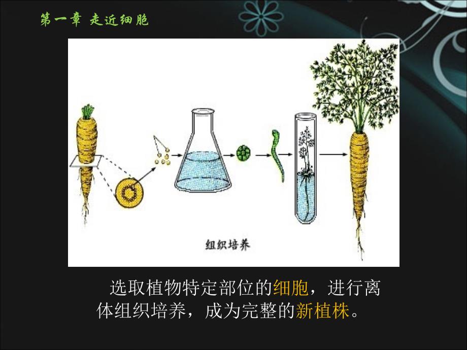 人教版教学一一节从生物圈到细胞_第2页