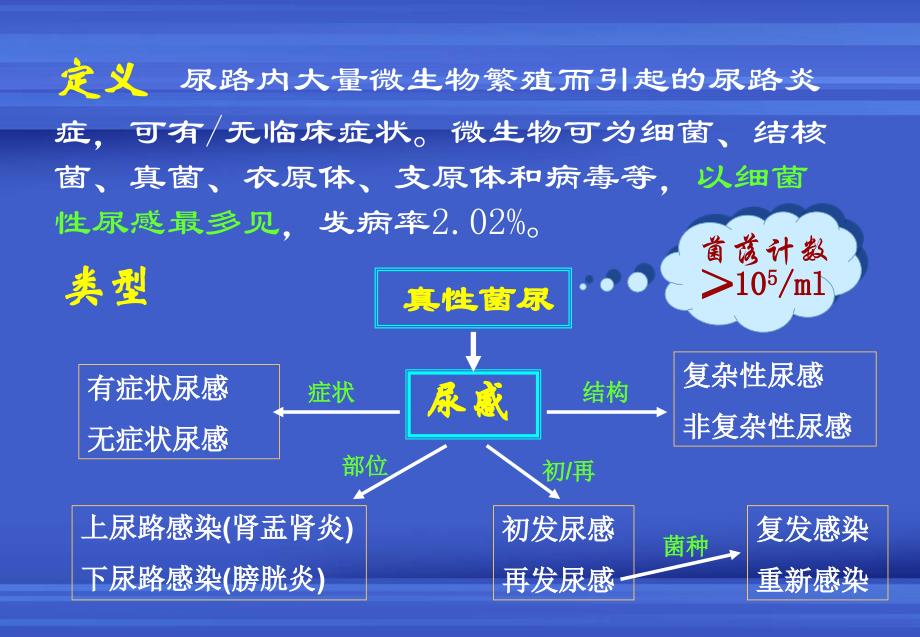 绿脓杆菌课件_第2页