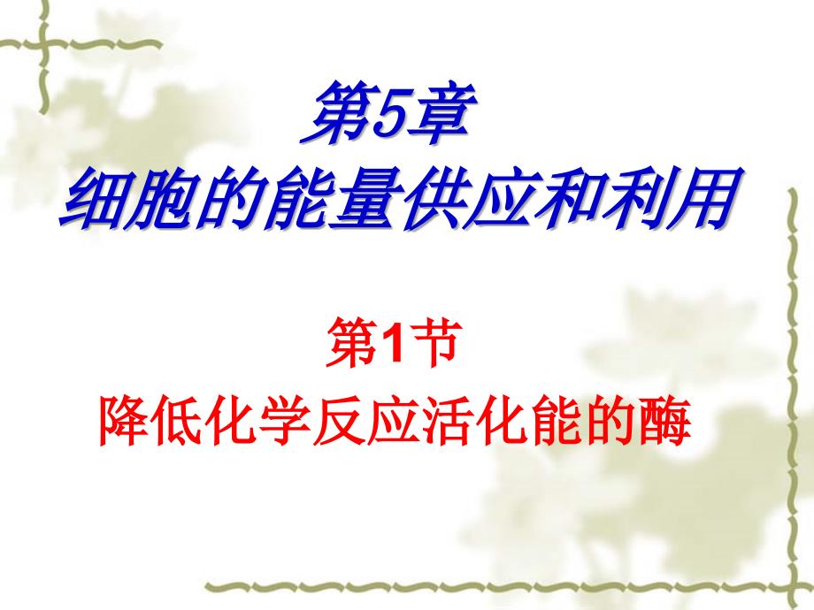 人教版教学江苏省南通市小海中学高一生物《降低化学反应活化能的酶》_第1页