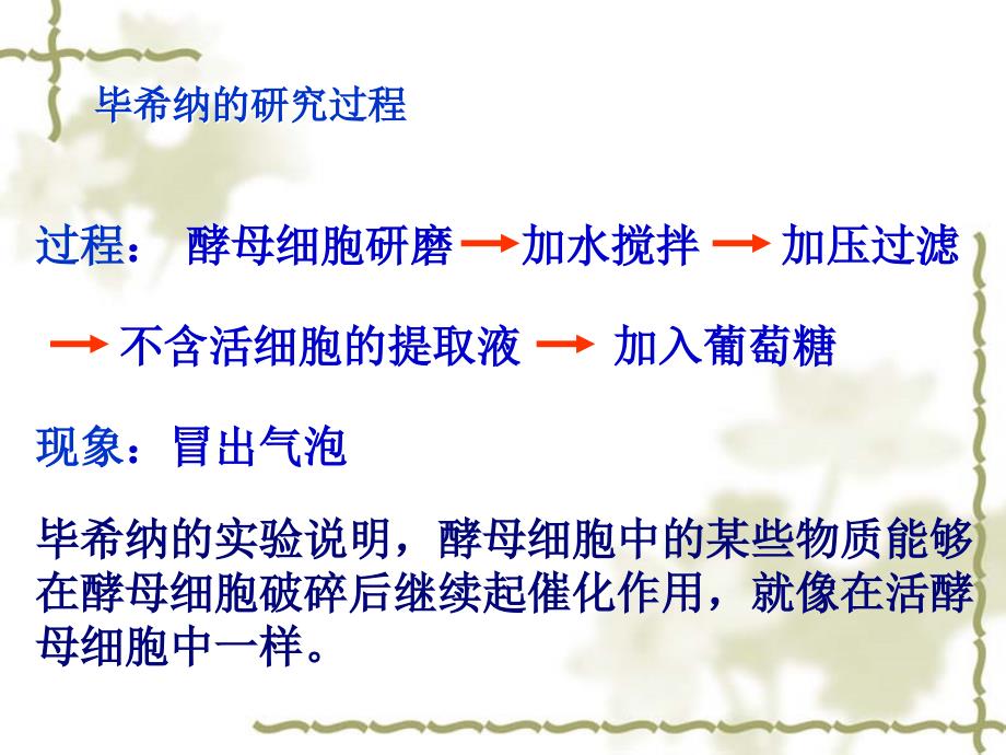 人教版教学江苏省南通市小海中学高一生物《降低化学反应活化能的酶》_第3页