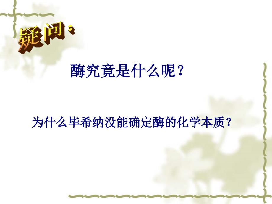 人教版教学江苏省南通市小海中学高一生物《降低化学反应活化能的酶》_第4页