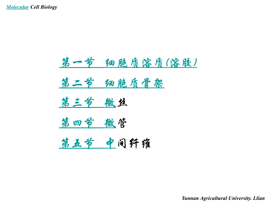 分子细胞生物学——细胞骨架_第2页