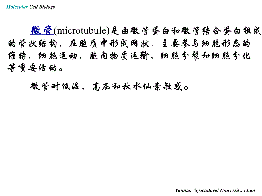 分子细胞生物学——细胞骨架_第4页