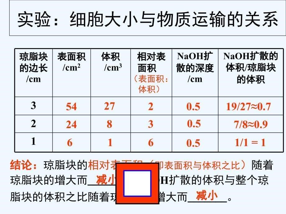 人教版教学高中生物必修一细胞增殖_第5页