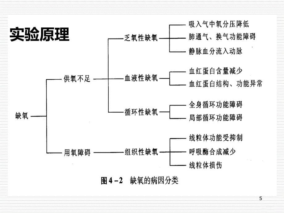 缺氧与耐缺氧汇编_第5页