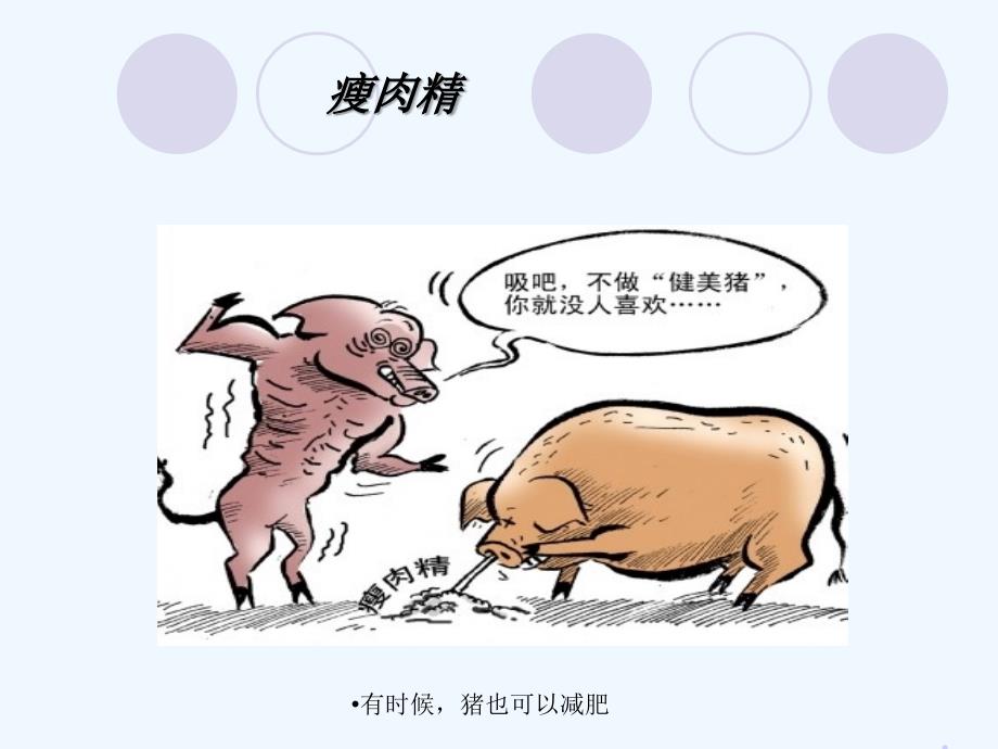 双汇瘦肉精事件课件_第3页