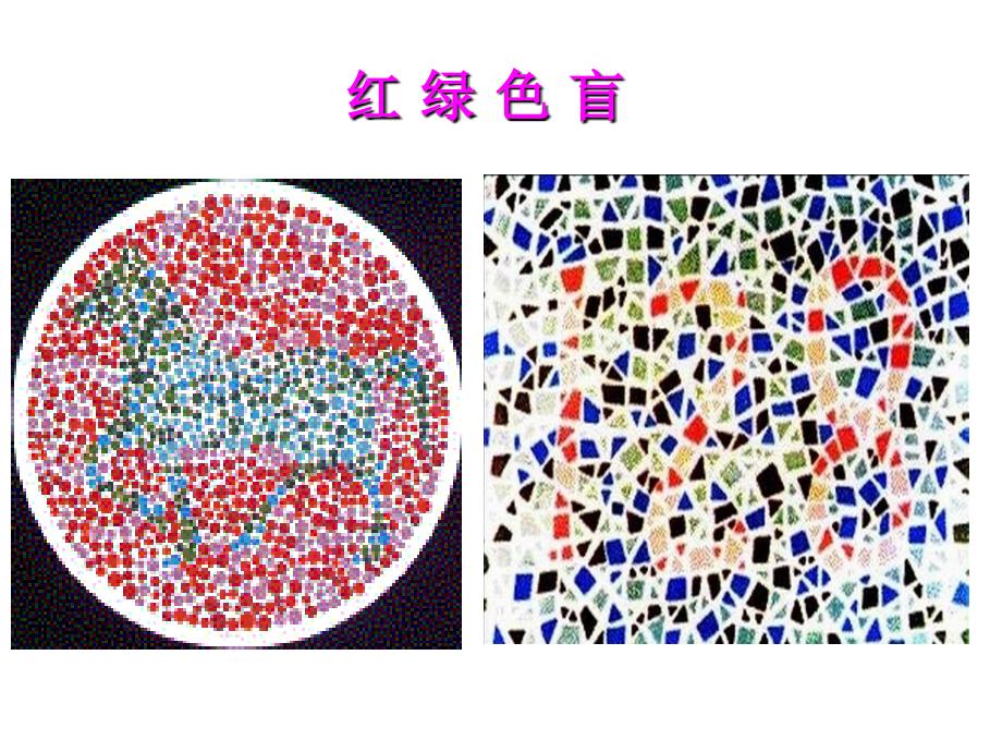 人教版教学二基因和染色体的关系三伴性遗传_第3页