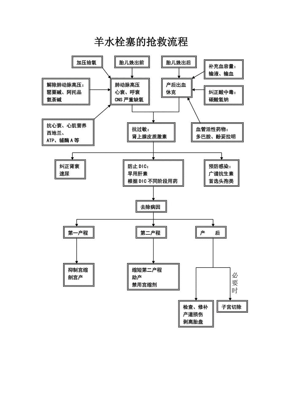 产科流程图教材_第5页