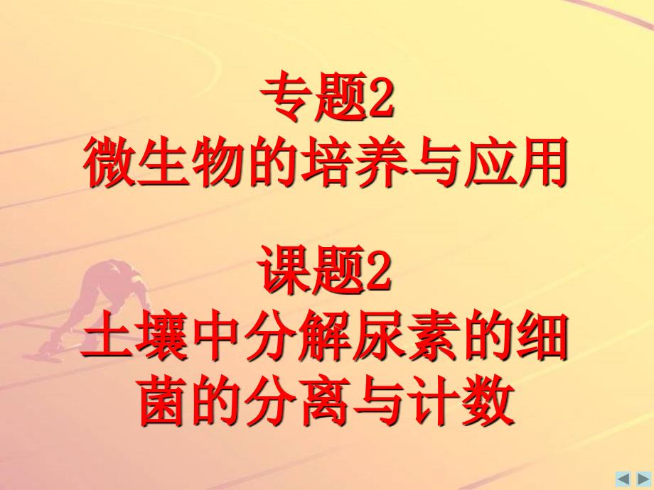 专题课题土壤中分解尿素的细菌的分离与计数_第1页